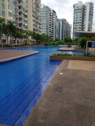 Kovan Melody (D19), Condominium #177523632